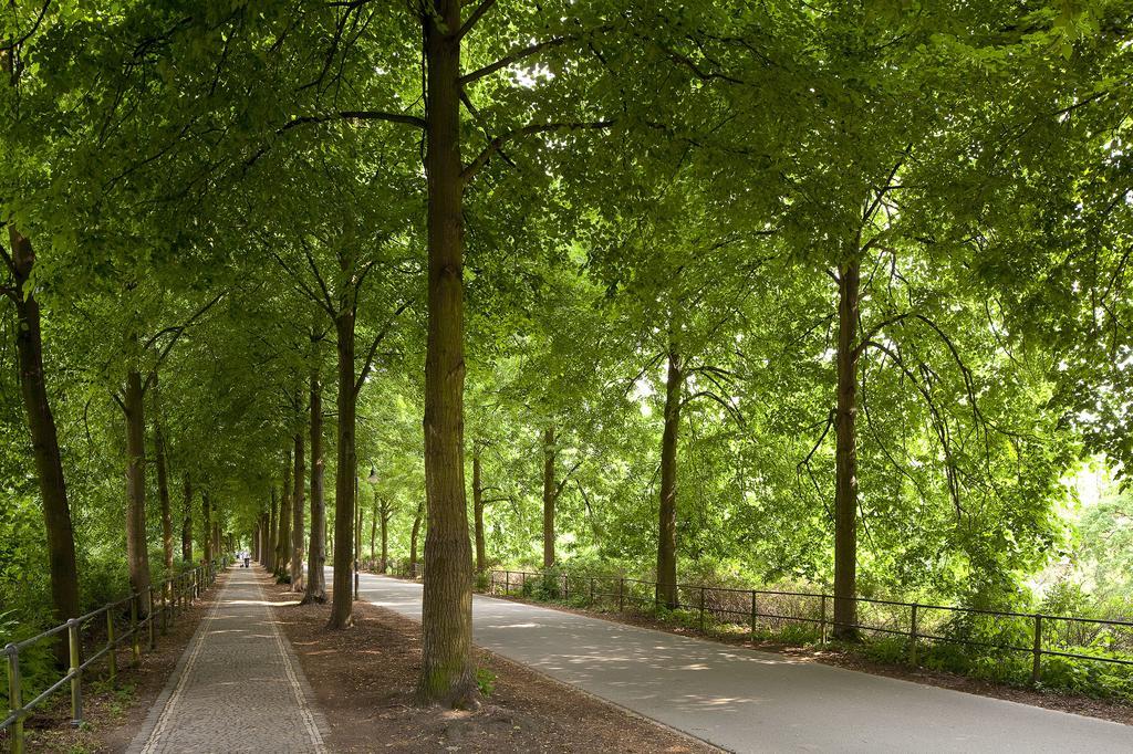 Rosenweg Daire Beelen Dış mekan fotoğraf